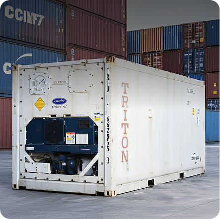 Reefer Container